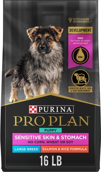 PURINA PRO PLAN Development Sensitive Skin Stomach Salmon Rice Large Breed Dry Puppy Food 16 lb bag Chewy