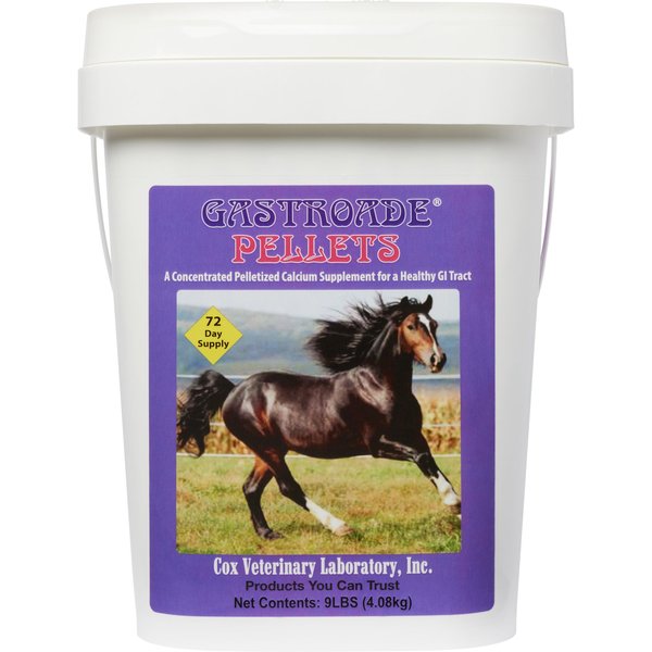 VITALIZE Blazin - Horse Heat Stress & Exertion Recovery - Calming  Supplement - Promotes Hydration & Water Retention (32 fl oz)