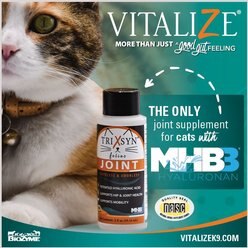 Trixsyn Canine Hyaluronan Joint Support Cat Supplement, 2-oz bottle slide 2 of 4