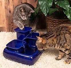 Miaustore Dog & Cat Ceramic Water Fountain, 115-oz, Blue