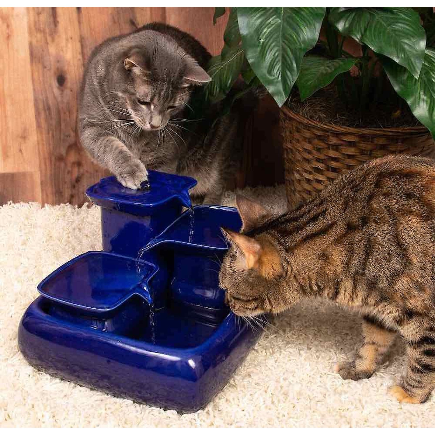 Miaustore ceramic cat water fountain hotsell