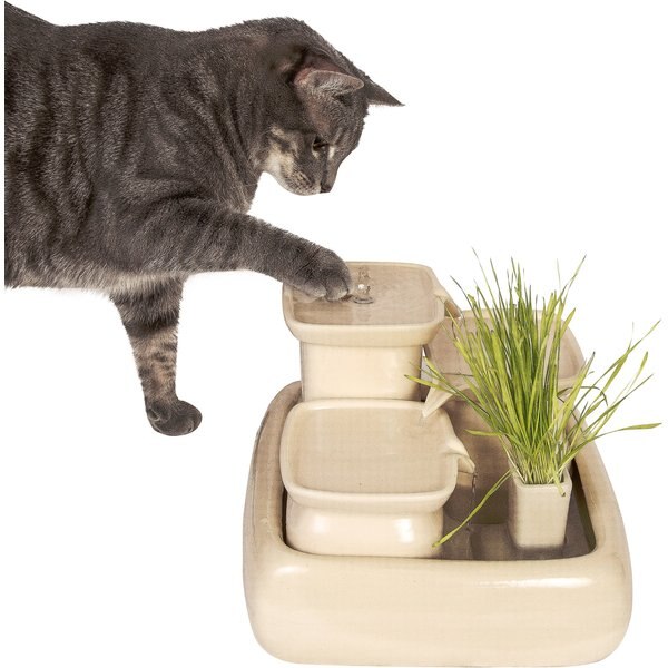 Out of Stock MIAUSTORE Dog & Cat Ceramic Water Fountain, 115oz