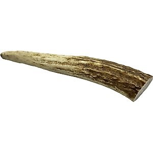 HOTSPOT PETS Whole Small Elk Antlers 4-5-in Dog Chew Treats, 1 count