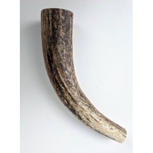 HOTSPOT PETS Whole Small Elk Antlers 4-5-in Dog Chew Treats, 2 count
