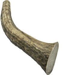 HOTSPOT PETS Whole Medium Elk 5-6-in Antlers Dog Chew Treats, 1 count