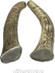 HOTSPOT PETS Whole Medium Elk 5-6-in Antlers Dog Chew Treats, 1 count slide 2 of 9