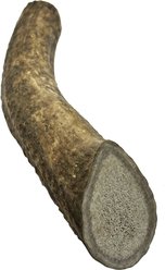 HOTSPOT PETS Whole Large Elk Antlers 7-8-in Dog Chew Treats, 1 count