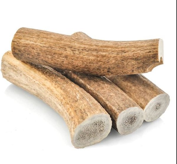 HOTSPOT PETS Whole Large Elk Antlers 7-8-in Dog Chew Treats, 1 count slide 1 of 9