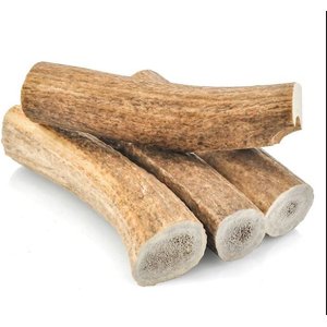 HOTSPOT PETS Whole Large Elk Antlers 7-8-in Dog Chew Treats, 1 count