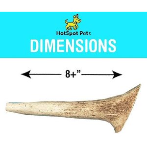 HOTSPOT PETS Whole X-Large Elk 8-9-in Antlers Dog Chew Treats, 2 count