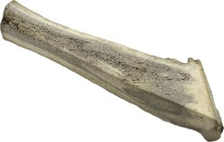 HOTSPOT PETS Split X-Large Elk Antlers 8-9-in Dog Chew Treats, 1 count