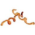 HOTSPOT PETS Curly Premium Bully Sticks Dog Treats, 3 count, 7-10-in