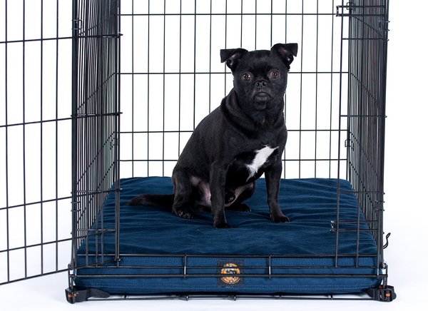 Gorilla Dog Beds Dura-Vel Orthopedic Dog Crate Pad, Navy, Large slide 1 of 3