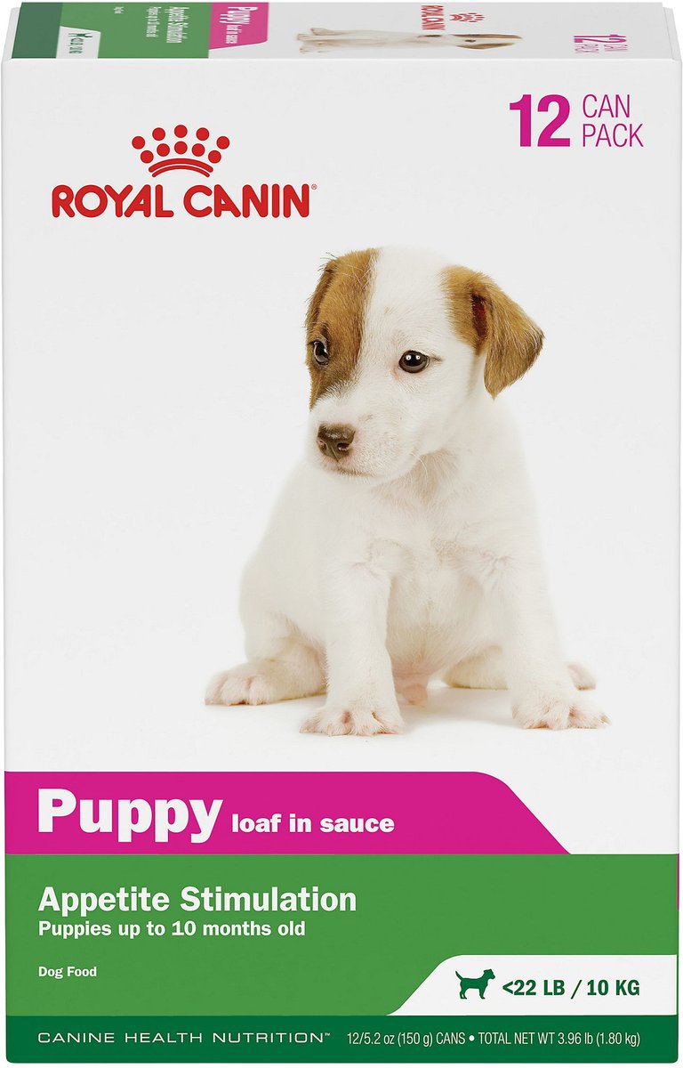 Royal canin junior appetite outlet stimulation wet dog food