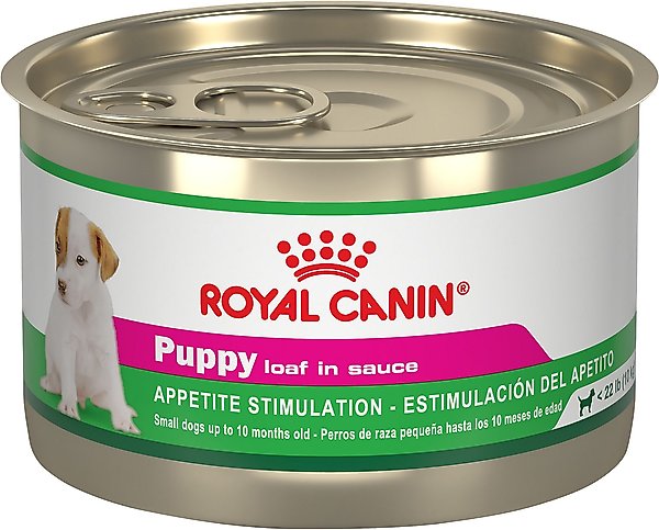 Can Royal Canin Cause Diarrhea In Dogs Pet Help Reviews UK