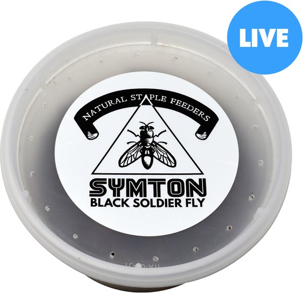 Symton Small Live Black Soldier Fly Larvae Lizard Food, 1,000 count slide 1 of 5