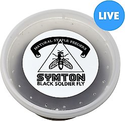 Symton Medium Live Black Soldier Fly Larvae Lizard Food, 500 count