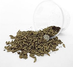 Symton Large Live Black Soldier Fly Larvae Lizard Food, 500 count slide 2 of 5