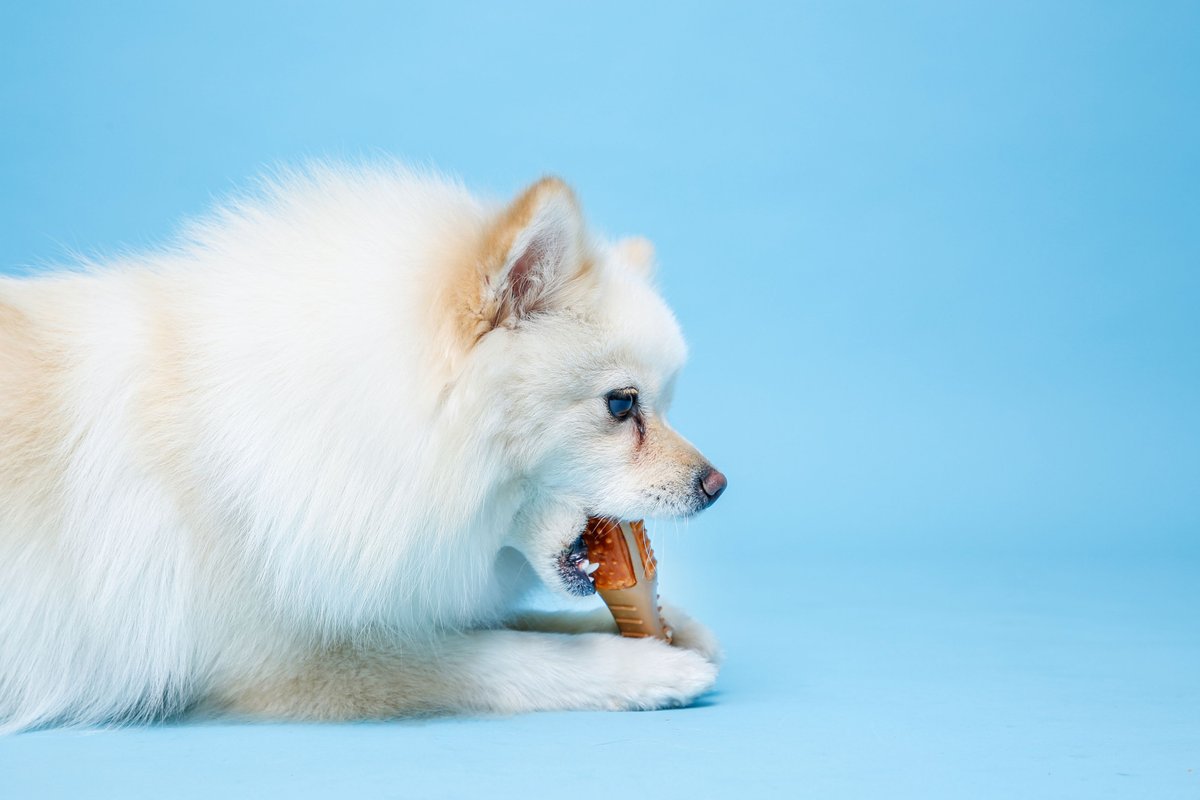 HARTZ Chew 'n Clean Chicken Flavored Drumstick Dog Treat & Chew Toy