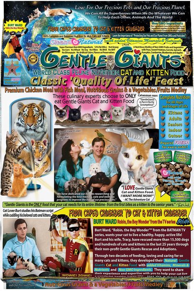 Gentle Giants Natural Non-GMO Chicken & Fish Cat & Kitten Dry Cat Food, 9-lb bag slide 1 of 4