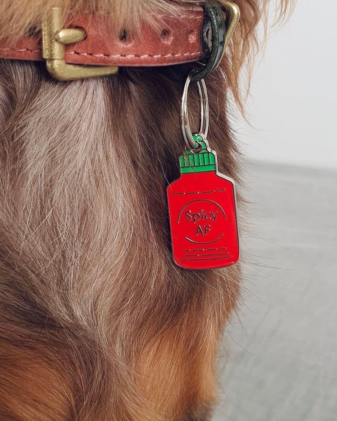 Trill Paws Fives Personalized Dog & Cat ID Tag