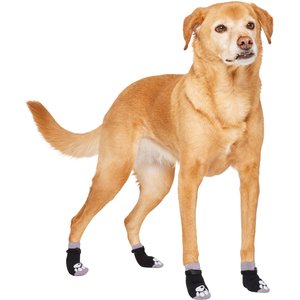 Chewy hotsell dog socks