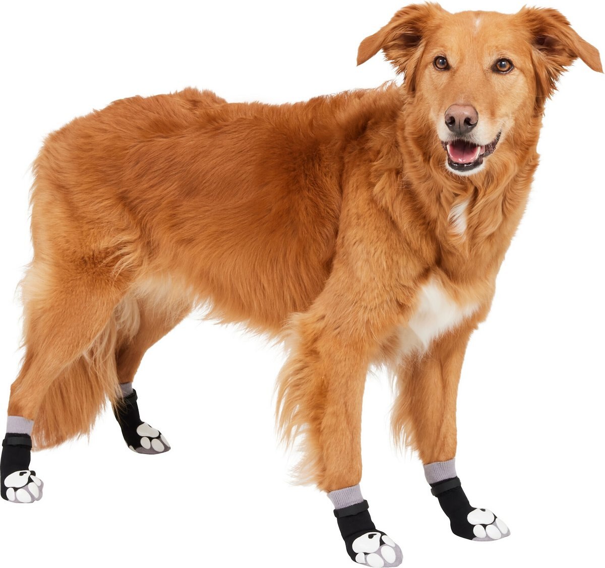 FRISCO NonSkid Dog Socks, Black, Size 5