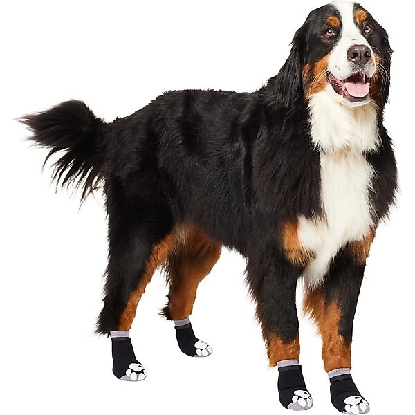 neoprene boots for dogs