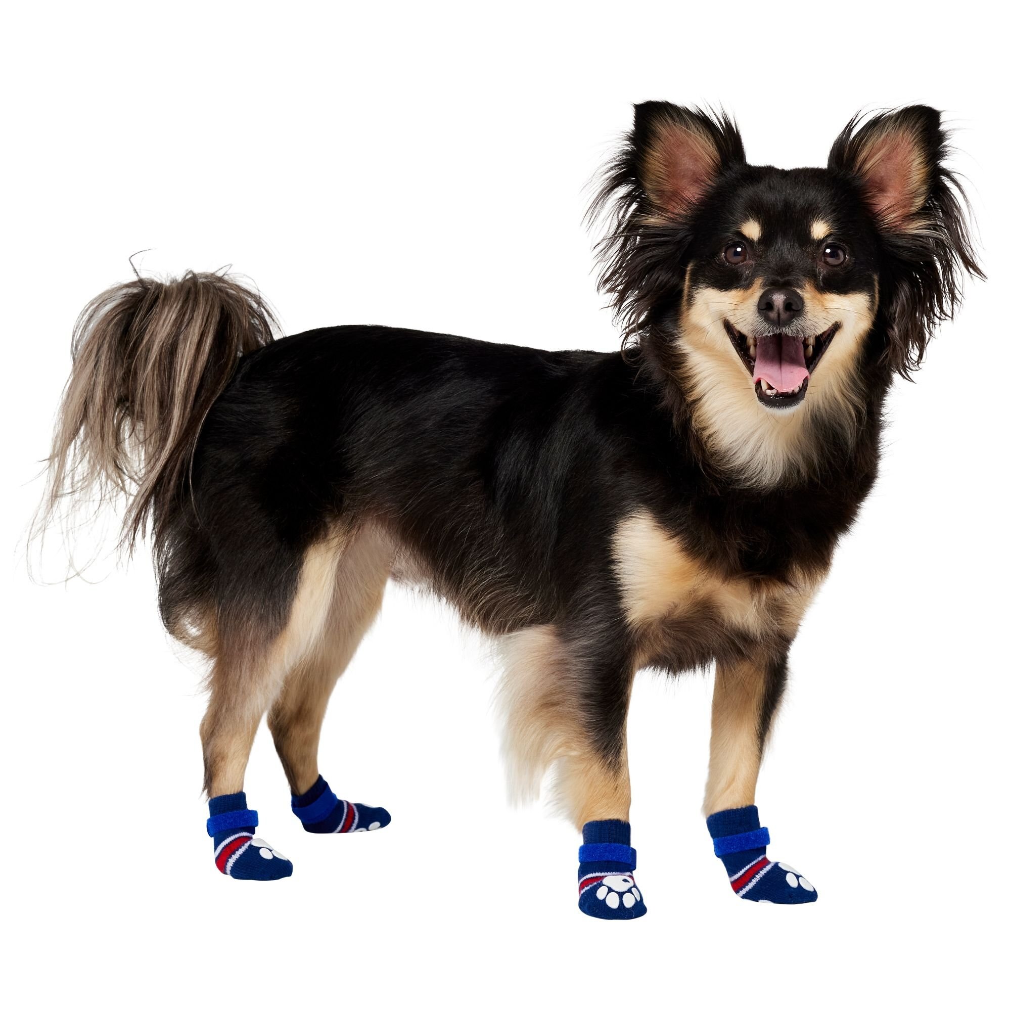 FRISCO NonSkid Navy Dog Socks, Red & White Stripe Customer Questions