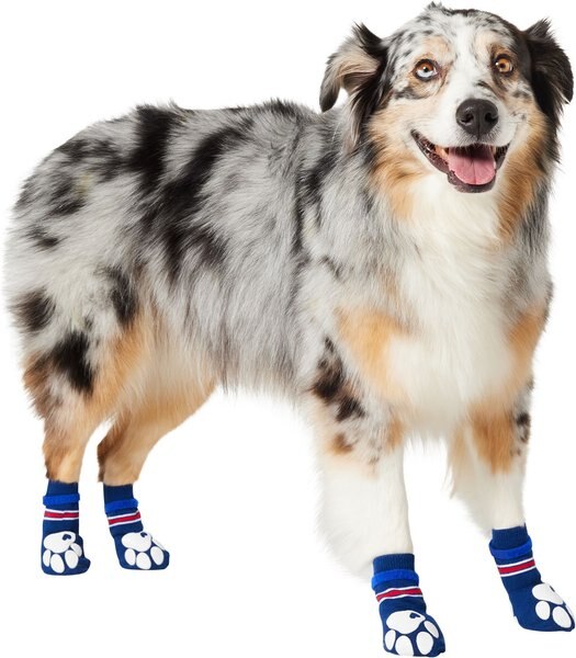 Out of Stock FRISCO NonSkid Navy Dog Socks, Red & White Stripe, Size