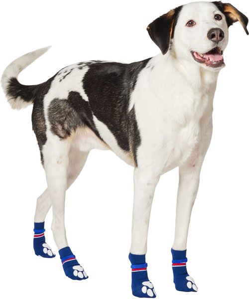 Frisco Non-Skid Navy Dog Socks, Red & White Stripe, Size 6 slide 1 of 6