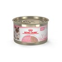 Royal Canin Feline Health Nutrition Mother & Babycat Ultra Soft Mousse in Sauce Canned Cat Food, 5.1-oz, case of 24