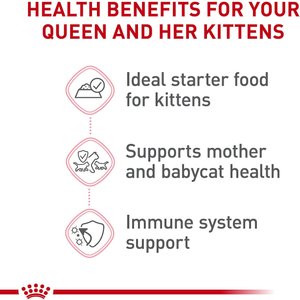 Royal Canin Feline Health Nutrition Mother & Babycat Ultra Soft Mousse in Sauce Wet  Cat Food, 5.1-oz, case of 24