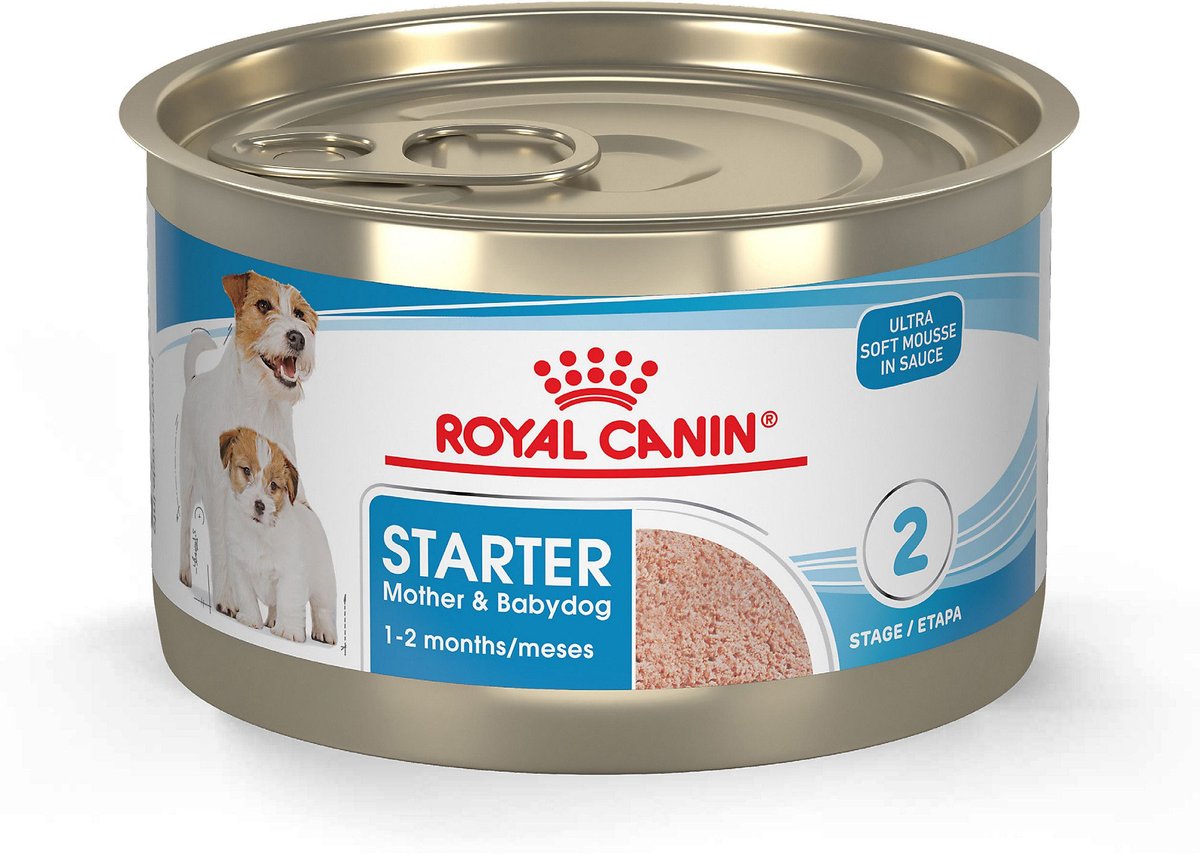 Why royal outlet canin is bad