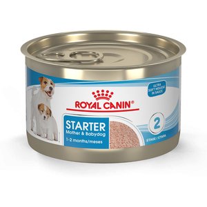 Royal Canin Size Health Nutrition Starter Mother & Babydog Mousse In Sauce Canned Dog Food, 5.1-oz, case of 24