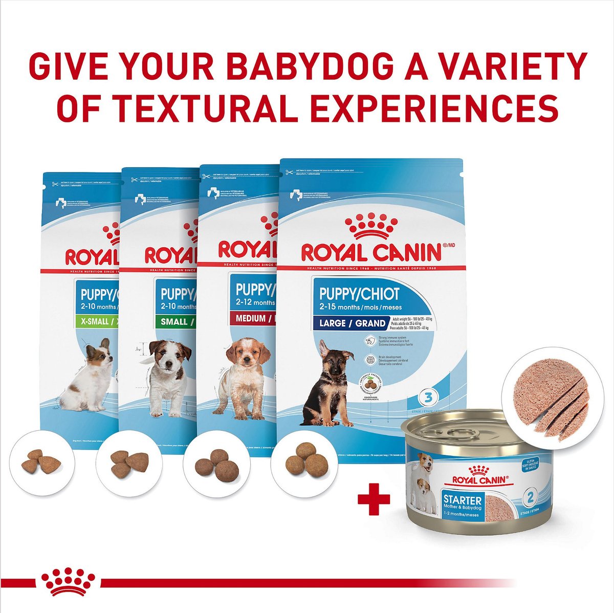 Starter royal outlet canin mousse