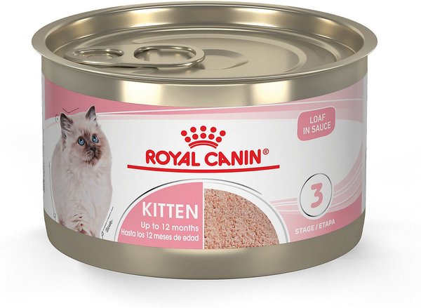 Royal Canin Feline Health Nutrition Kitten Loaf in Sauce Canned Cat Food, 5.1-oz, case of 24 slide 1 of 11