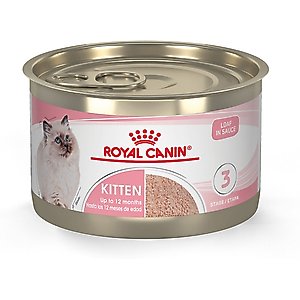 Royal Canin Feline Health Nutrition Kitten Loaf in Sauce Canned Cat Food, 5.1-oz, case of 24