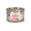Royal Canin Feline Health Nutrition Kitten Loaf in Sauce Canned Cat Food, 5.1-oz, case of 24