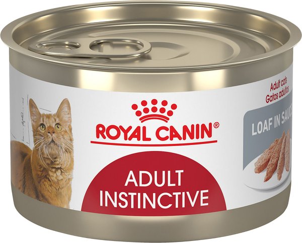 ROYAL CANIN Adult Instinctive Loaf in Sauce Canned Cat Food, 5.1-oz ...