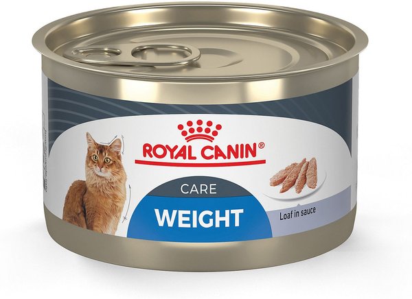 ROYAL CANIN Feline Nutrition Weight Care Adult Loaf Sauce Canned Cat Food, 5.1-oz, case 24 - Chewy.com