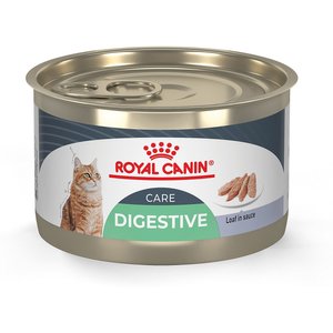 Royal Canin Feline Care Nutrition Digestive Care Loaf in Sauce Canned Cat Food, 5.1-oz, case of 24