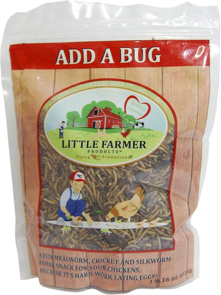 Little Farmer Products Add A Bug Chicken Treats, 1-lb bag slide 1 of 5