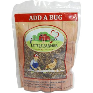 Little Farmer Products Add A Bug Chicken Treats, 1-lb bag