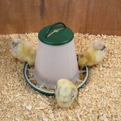 My Favorite Chicken Poultry Hopper Feeder, 6-6-lb slide 2 of 4