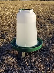 My Favorite Chicken Elevated Bayonet Poultry Drinker, Green, 1.5-gal slide 2 of 2