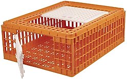 My Favorite Chicken Poultry Transport Crate