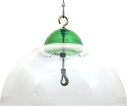 Droll Yankees Squirrel & Weather Guard Bird Feeder, 15-in