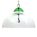 Droll Yankees Squirrel & Weather Guard Bird Feeder, 15-in