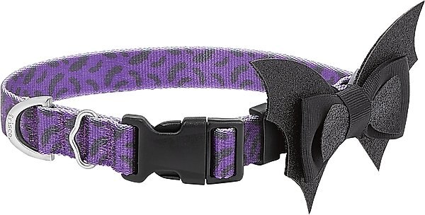 Frisco Purple Bat Wing Dog Collar with Wings, Large slide 1 of 7